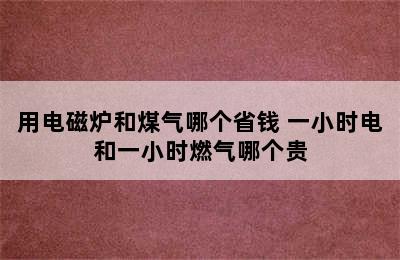 用电磁炉和煤气哪个省钱 一小时电和一小时燃气哪个贵